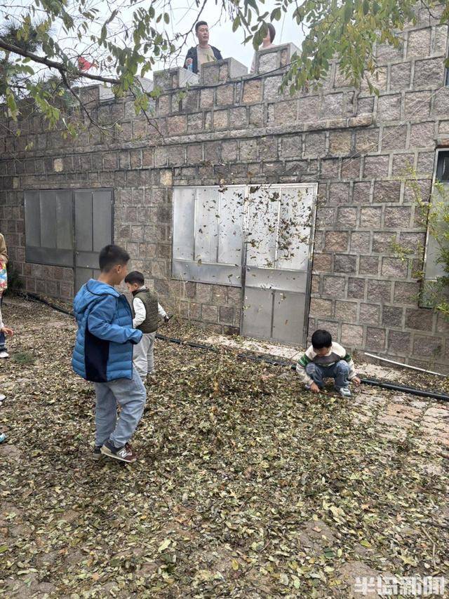 登山路上，秋意十足