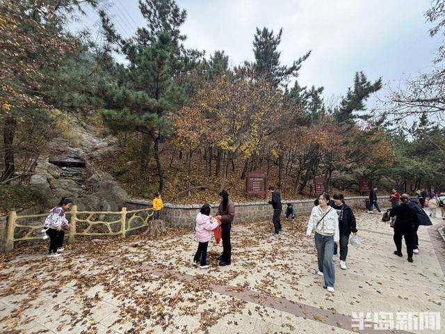 登山路上，秋意十足