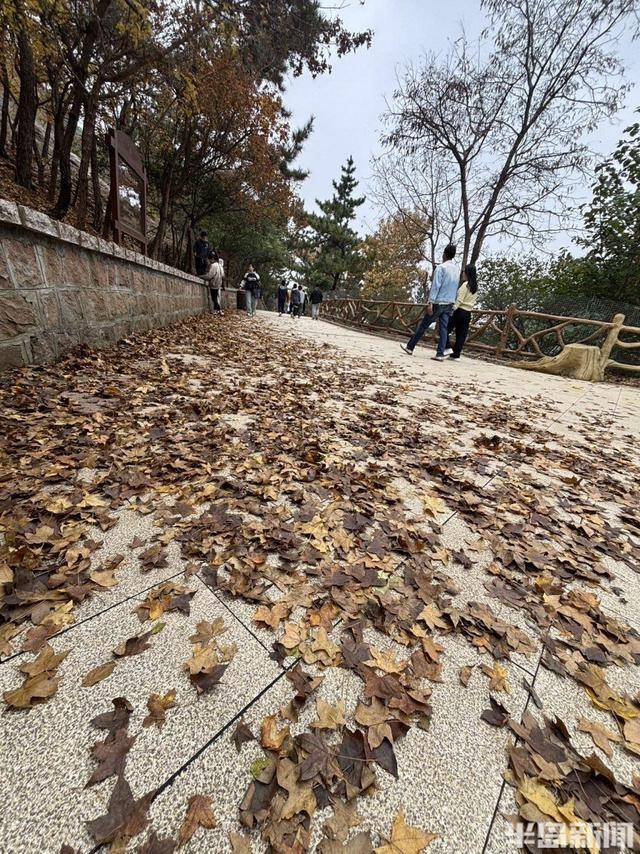 登山路上，秋意十足