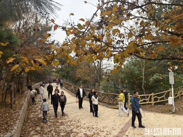 登山路上，秋意十足