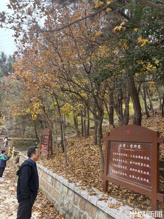 登山路上，秋意十足